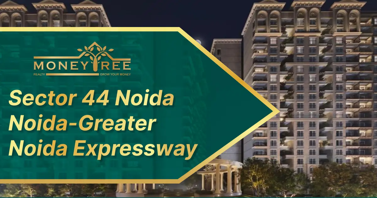 Sector 44 Noida | Noida-Greater Noida Expressway