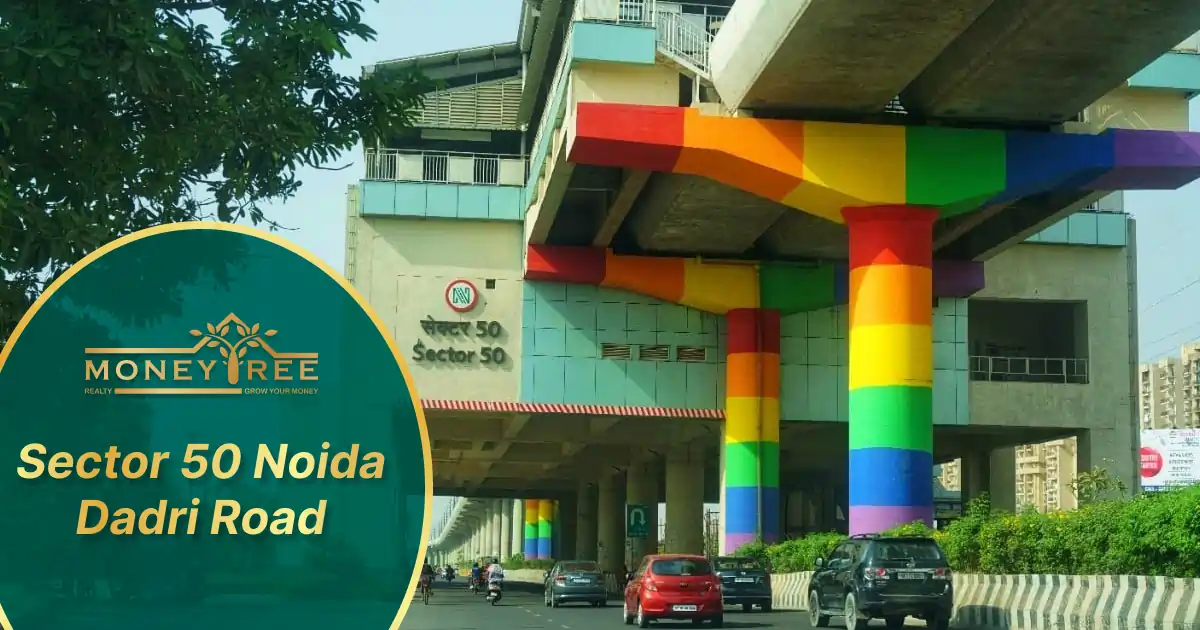 Sector 50 Noida - Dadri Road